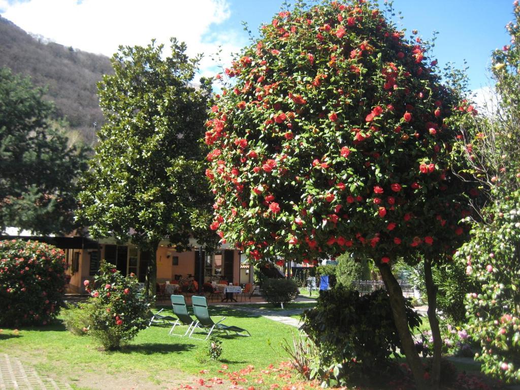 Villa Margherita Lake Maggiore Exterior foto